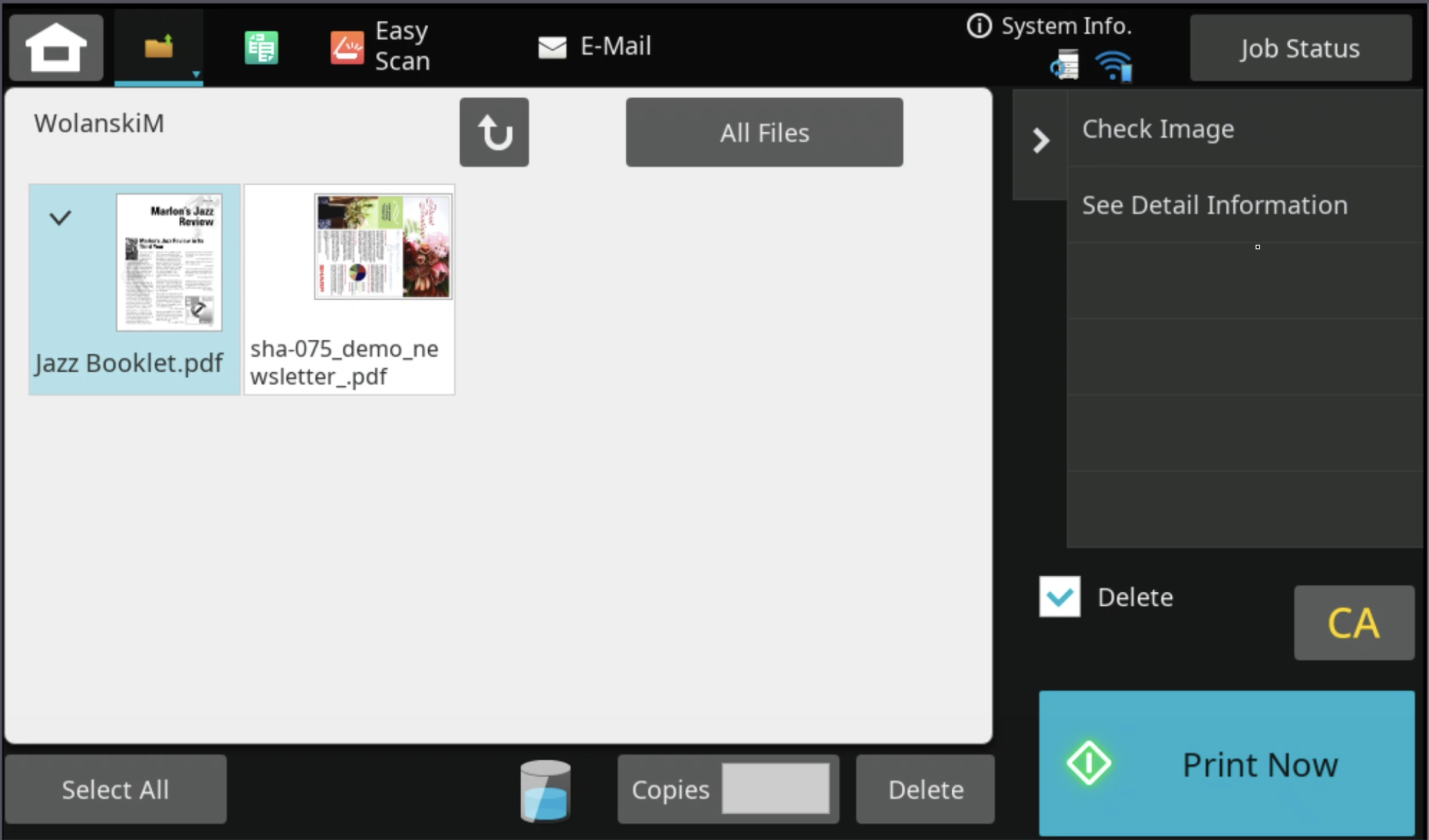 Sharp my folder print select and print files | platinum copier solutions Two Pdf Thumbnails in a File List Left is'Jazz Booklet.pdf' with a light blue tile, right is 'sha-075_demo_newsletter_.pdf' showing a page with a chart image and text.